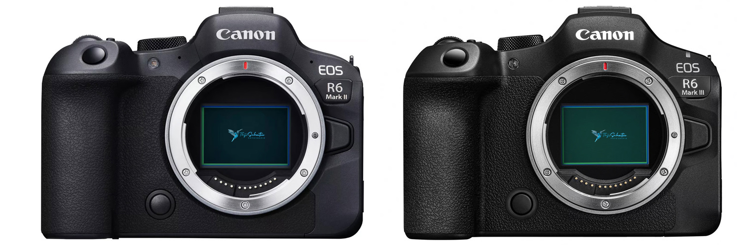 canon eos r6 mark ii vs eos r6 mark iii*