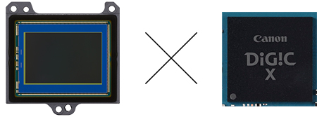 sensor Canon EOS R6 mark III