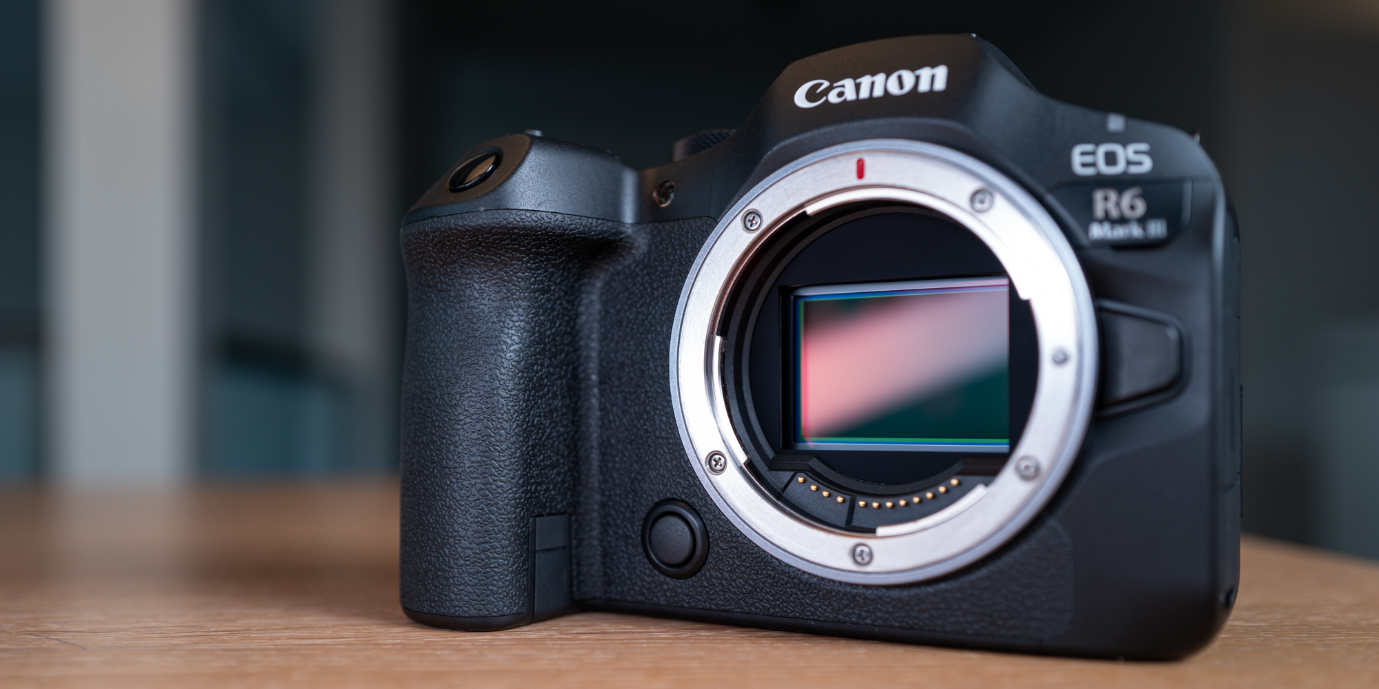 Canon EOS R6 mark III sensor
