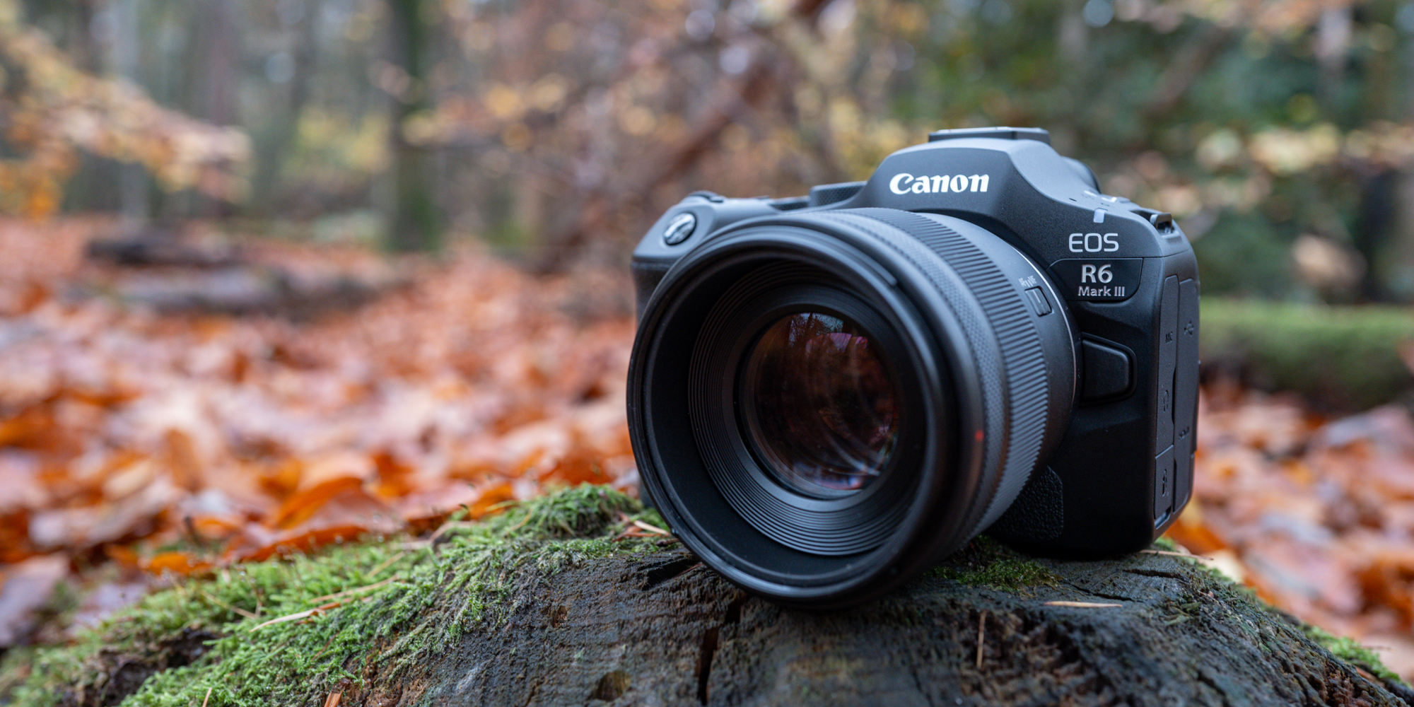 Canon EOS R6 mark III review