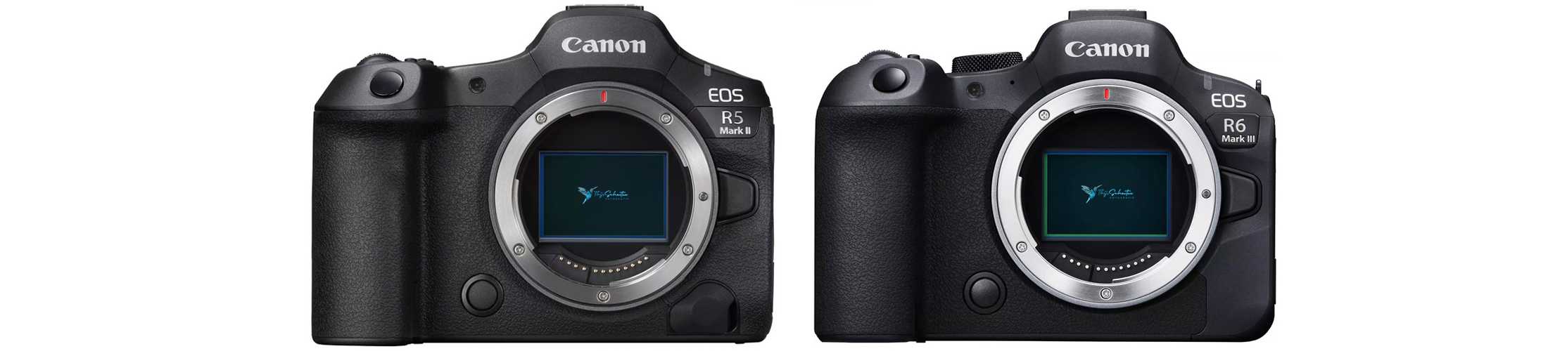 canon eos r5 mark ii vs Canon EOS R6 mark III