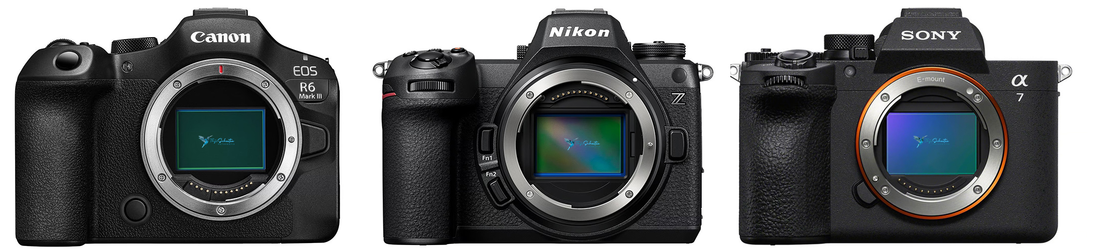 canon r6 iii vs sony a7 v vs nikon z6 iii