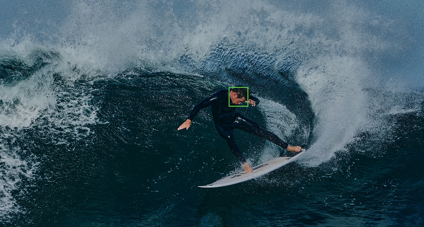 onderwerpherkenning gfx100sii