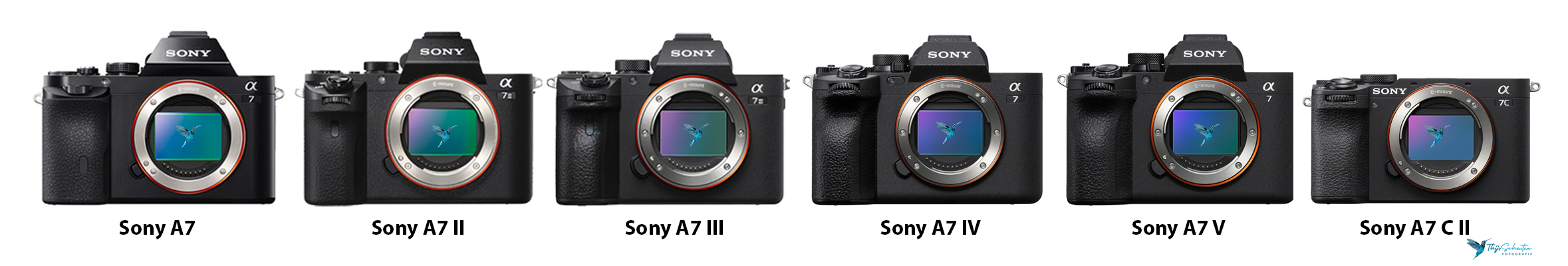 Sony a7 modellen 2025