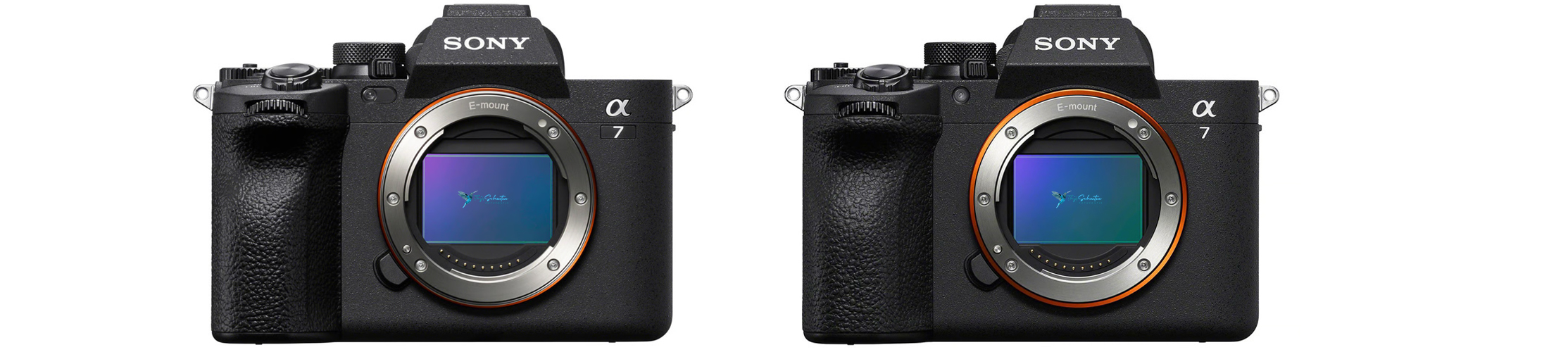 Sony a7 iv vs sony a7 v