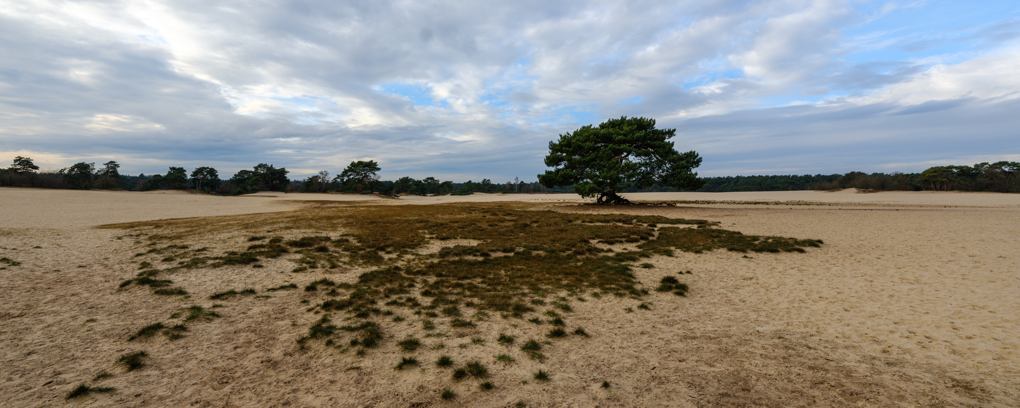 Panorama Fujifilm GFX 100S II