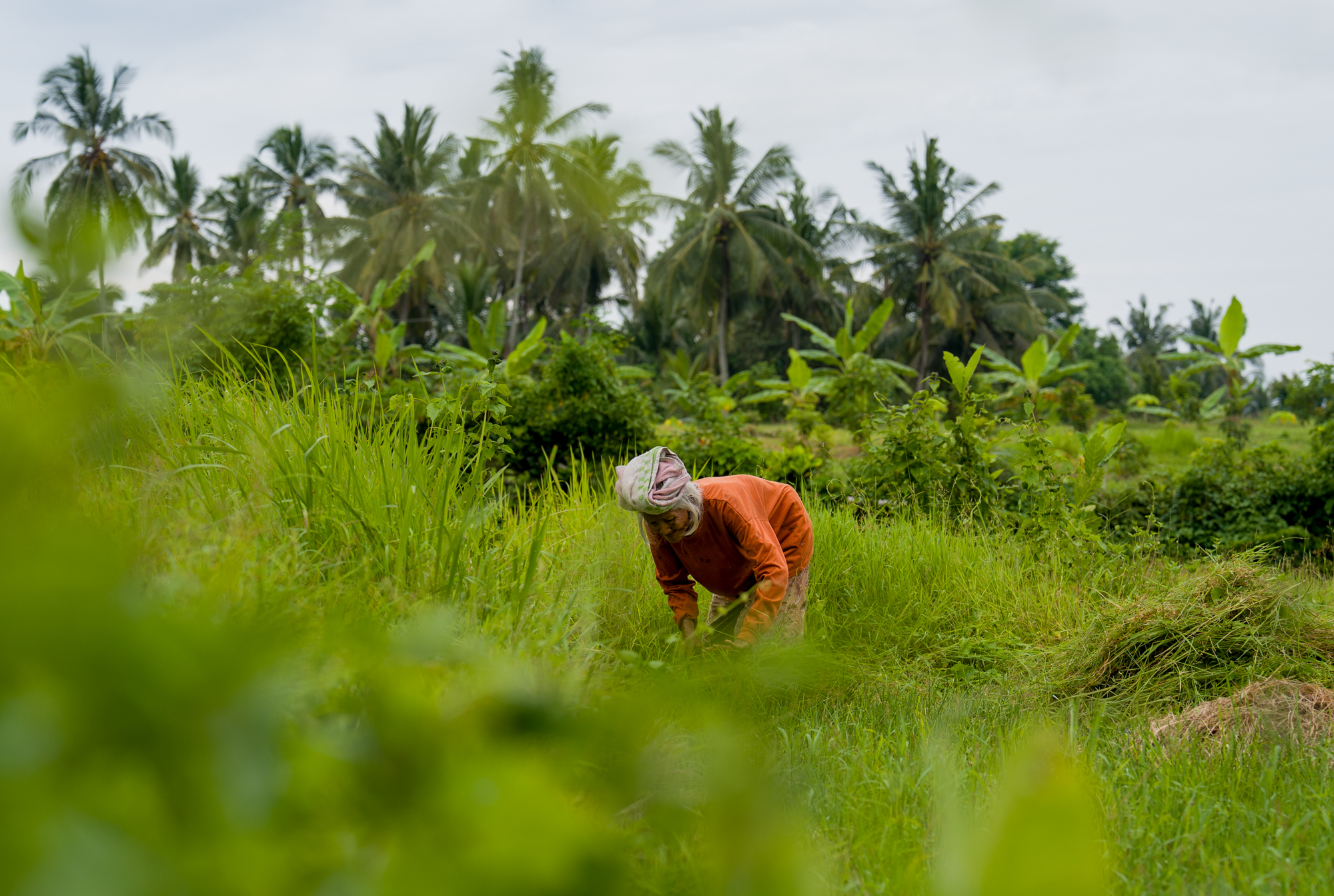 voorbeeld foto sony a7 v