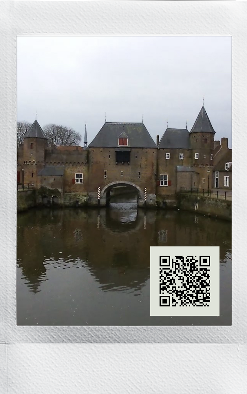 Voorbeeld video instax evo cinema