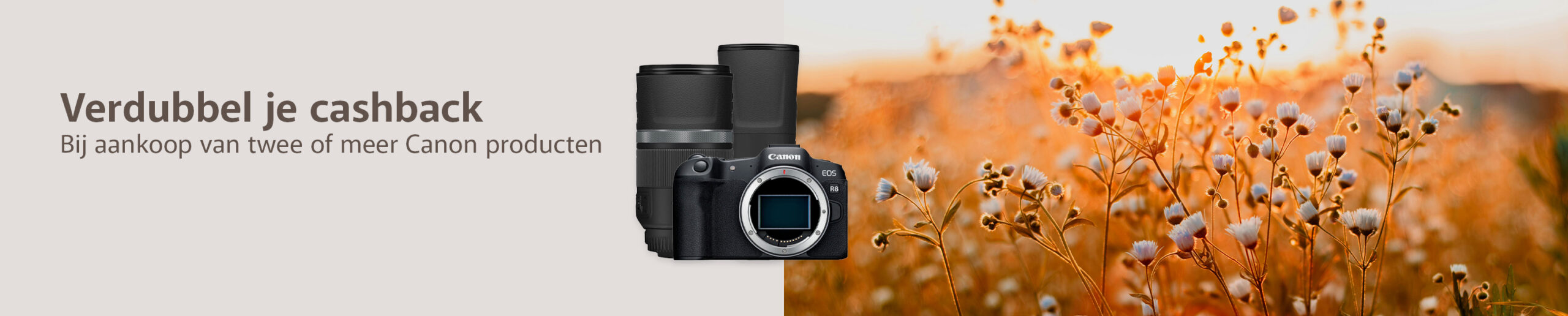 canon cashback lente 2026