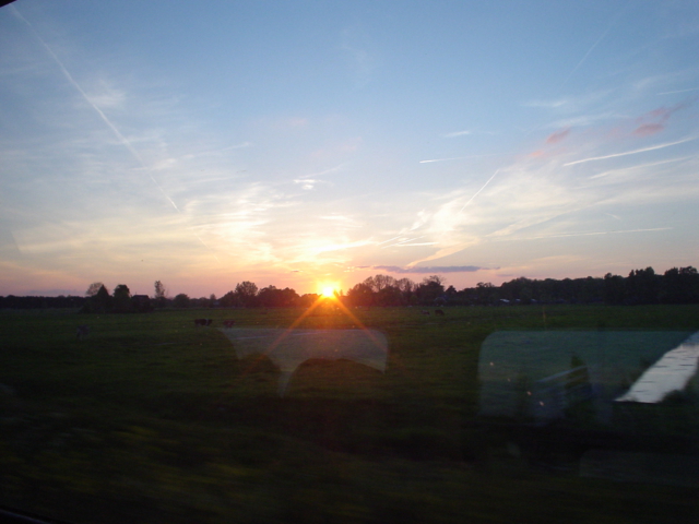 DSC00219