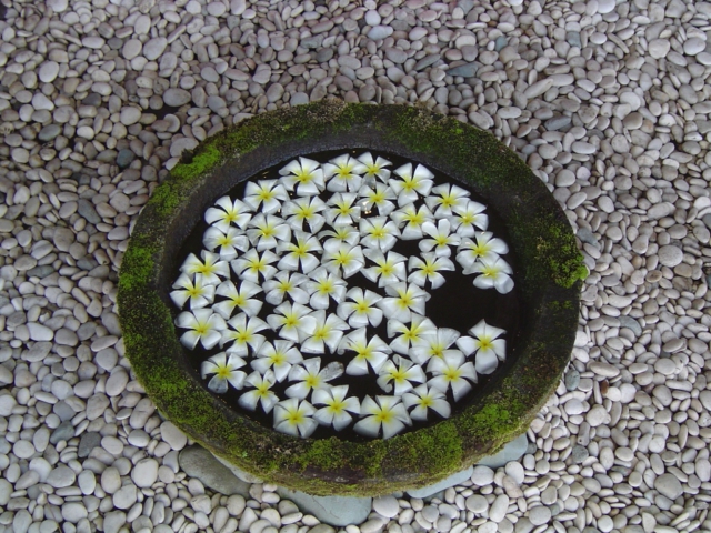 bloemen