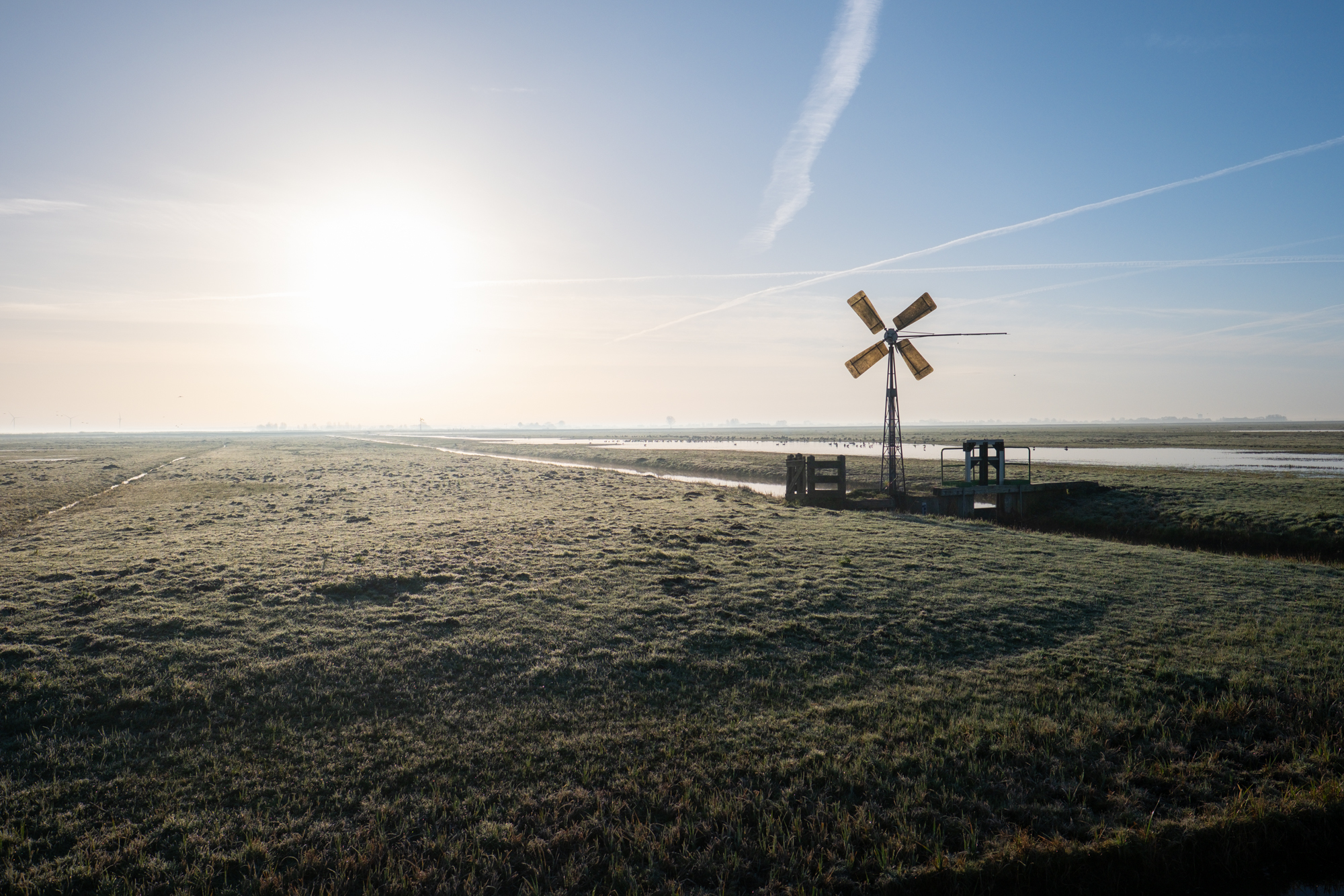 mist in de eempolder