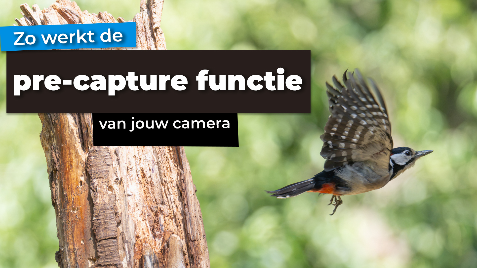 zo werkt de pre-capture functie van jouw camera