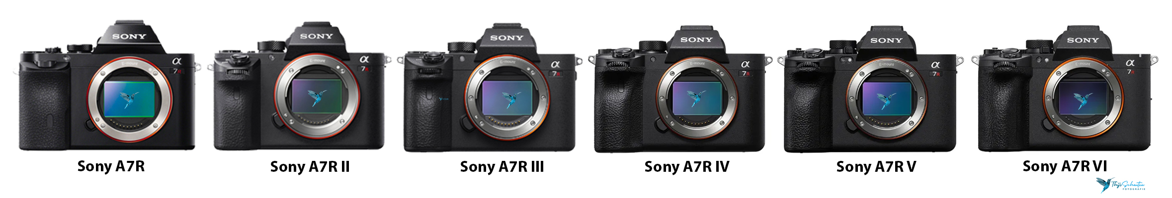 Sony A7R modellen 2026