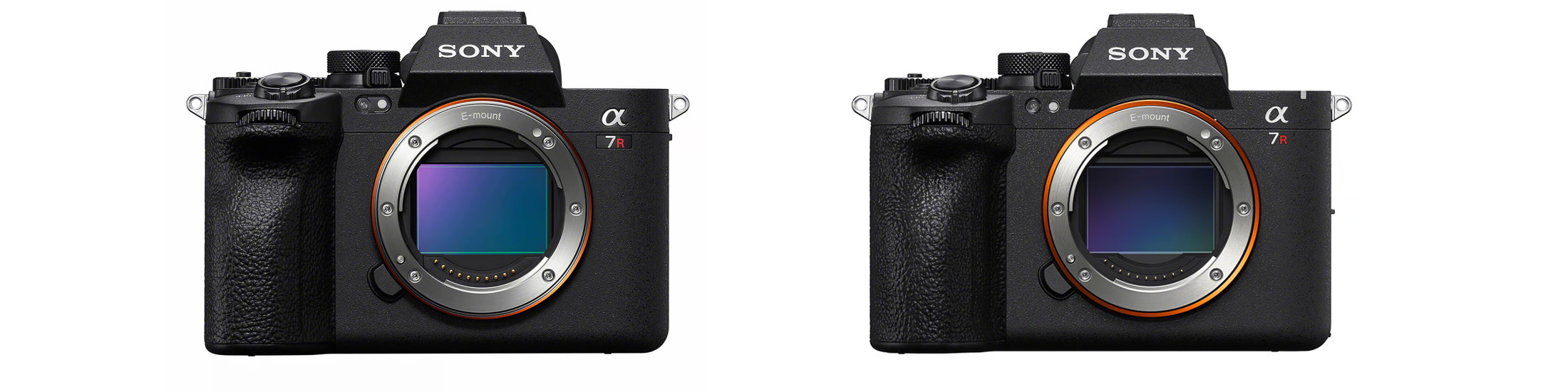sony a7r v vs sony a7r vi