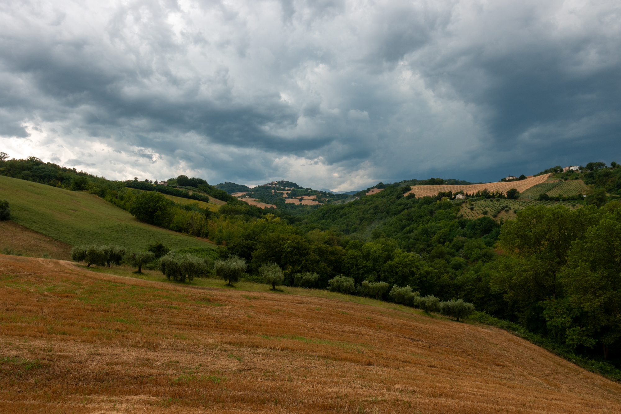 sony rx10 v voorbeeldfoto 24mm
