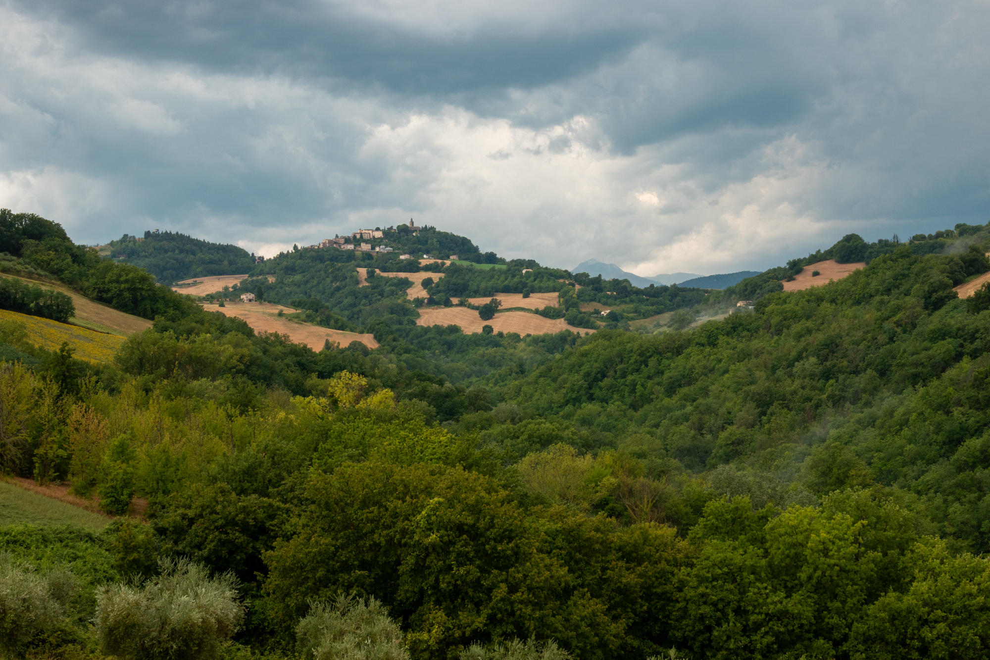 sony rx10 v voorbeeldfoto 65mm
