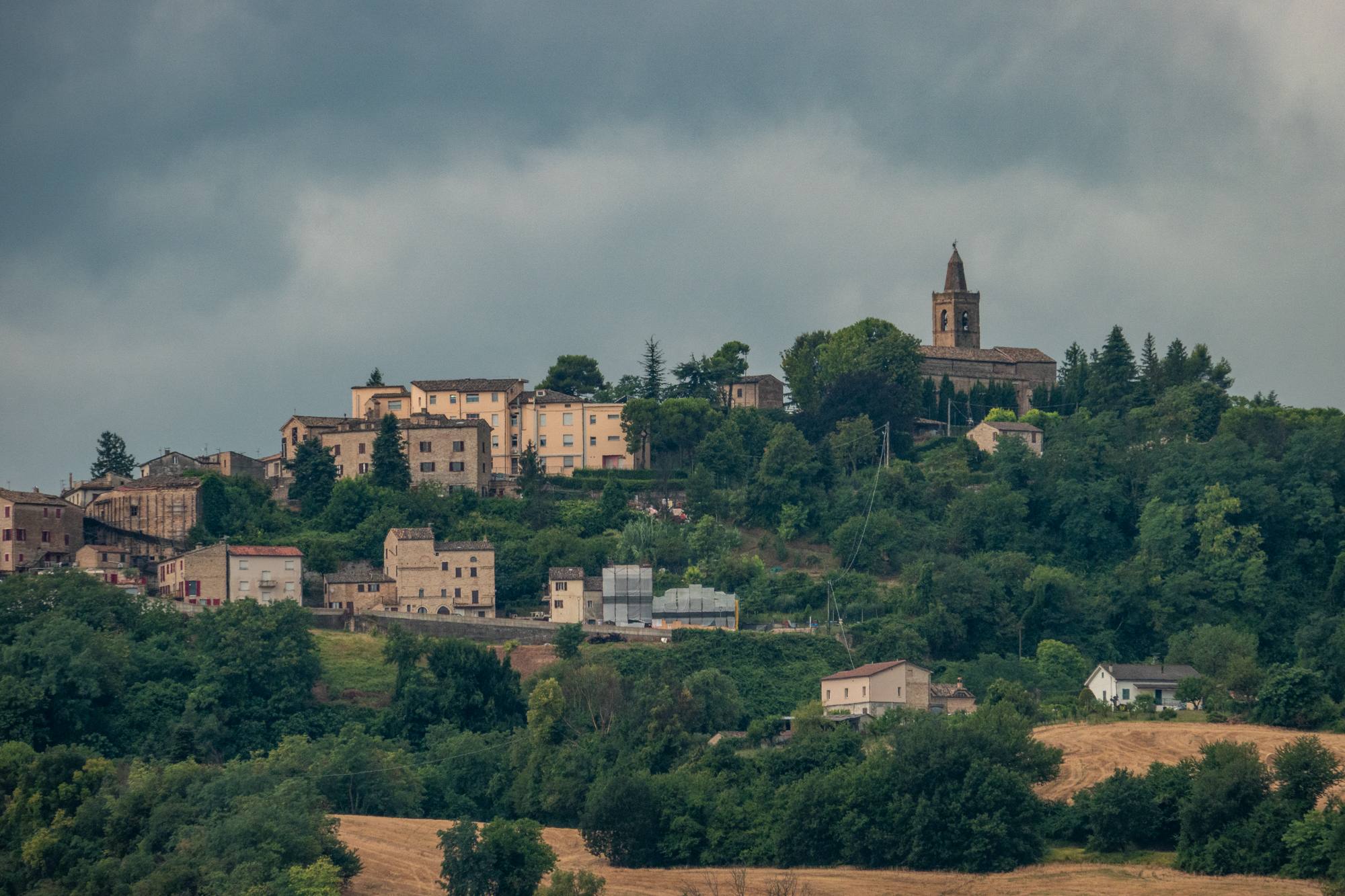 sony rx10 v voorbeeldfoto 600mm