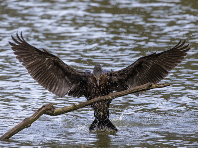 Canon-eos-r5-review-14 Canon-eos-r5-review-14