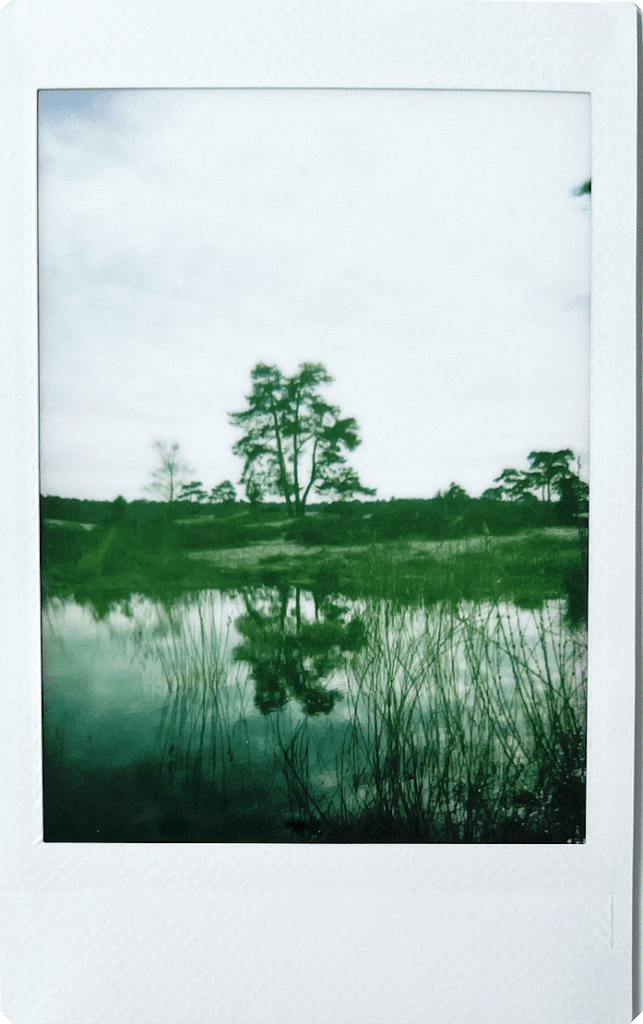 Fujifilm-INSTAX-mini-99-sample-10