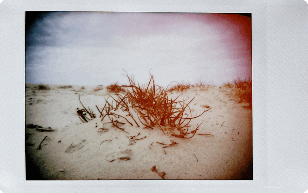 Fujifilm-INSTAX-mini-99-sample-11