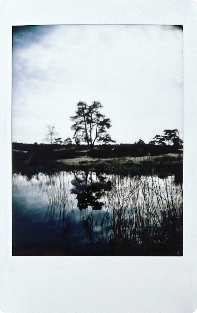 Fujifilm-INSTAX-mini-99-sample-12