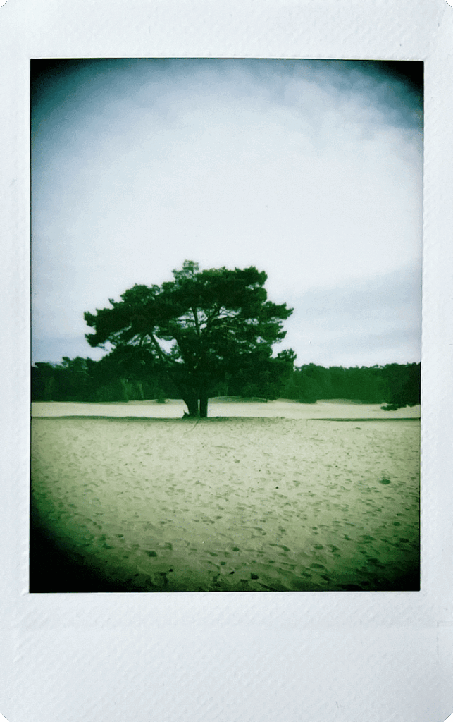 Fujifilm-INSTAX-mini-99-sample-13