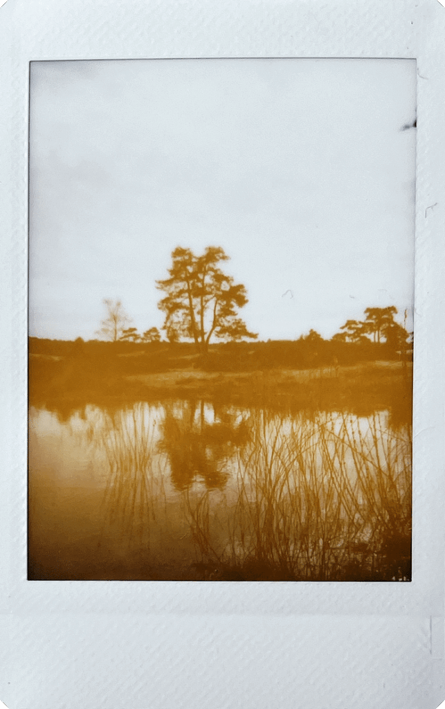 Fujifilm-INSTAX-mini-99-sample-14