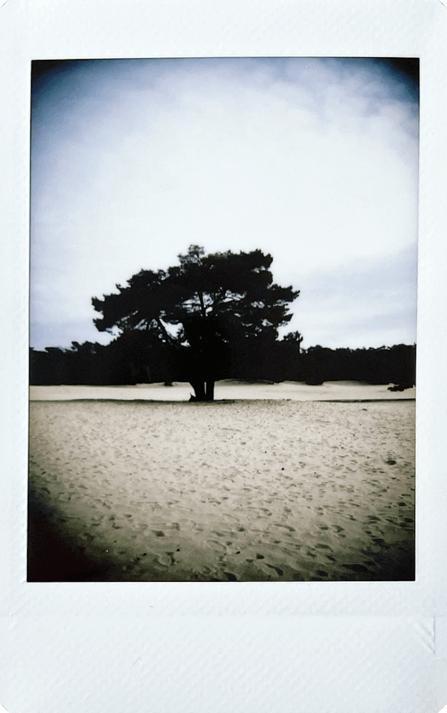 Fujifilm-INSTAX-mini-99-sample-18