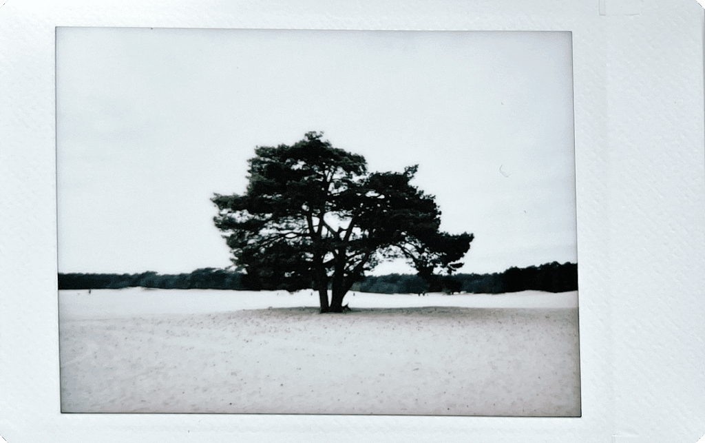 Fujifilm-INSTAX-mini-99-sample-19