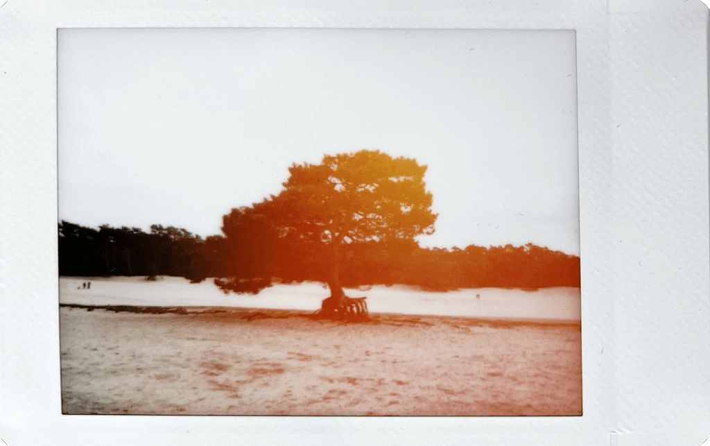 Fujifilm-INSTAX-mini-99-sample-20