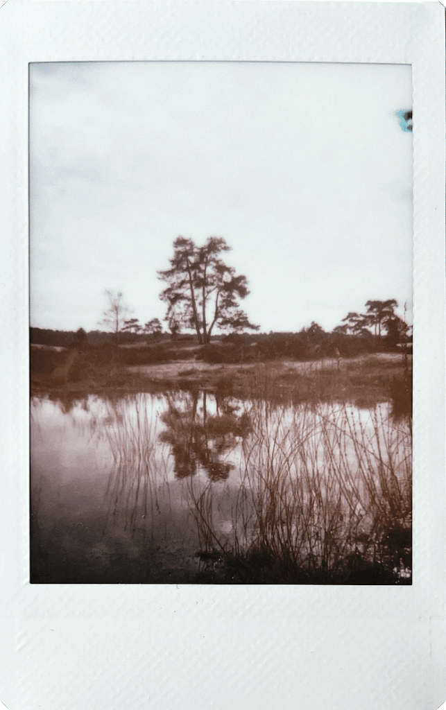 Fujifilm-INSTAX-mini-99-sample-21