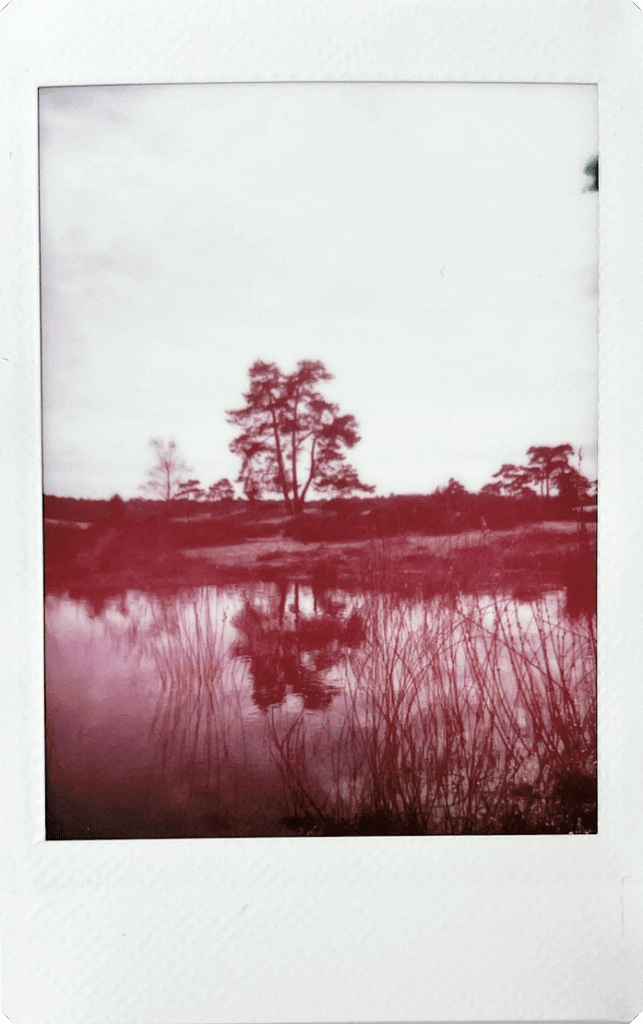 Fujifilm-INSTAX-mini-99-sample-22
