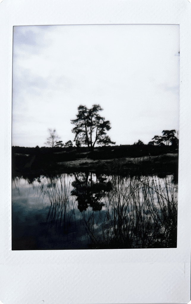 Fujifilm-INSTAX-mini-99-sample-23