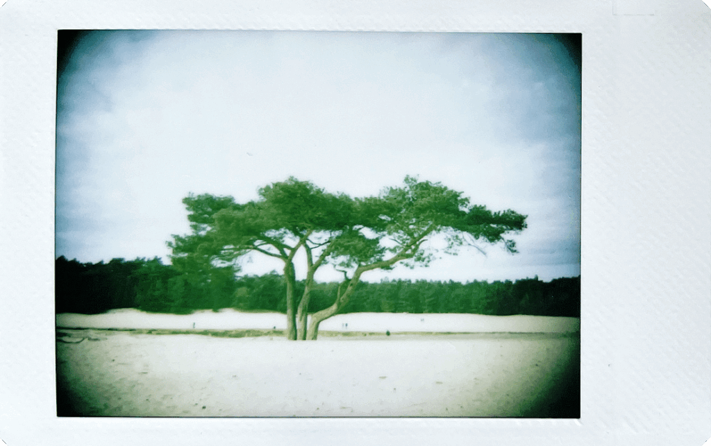 Fujifilm-INSTAX-mini-99-sample-3