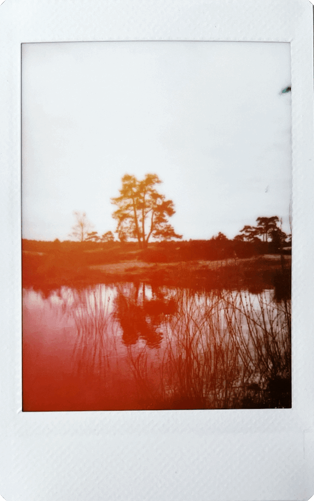 Fujifilm-INSTAX-mini-99-sample-4