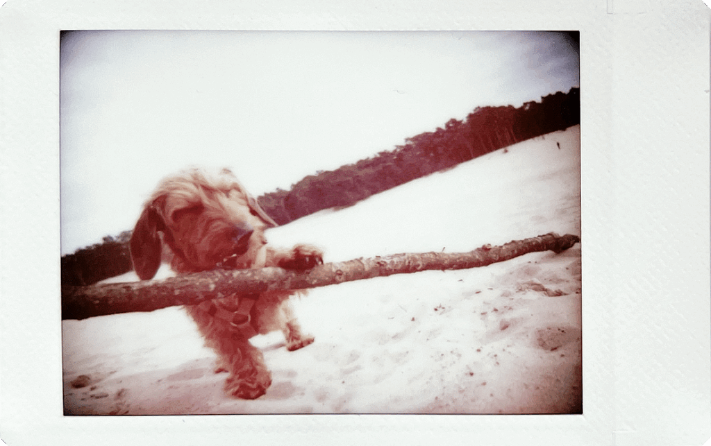Fujifilm-INSTAX-mini-99-sample-5
