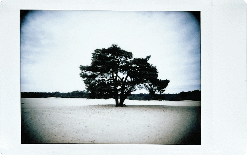 Fujifilm-INSTAX-mini-99-sample-6