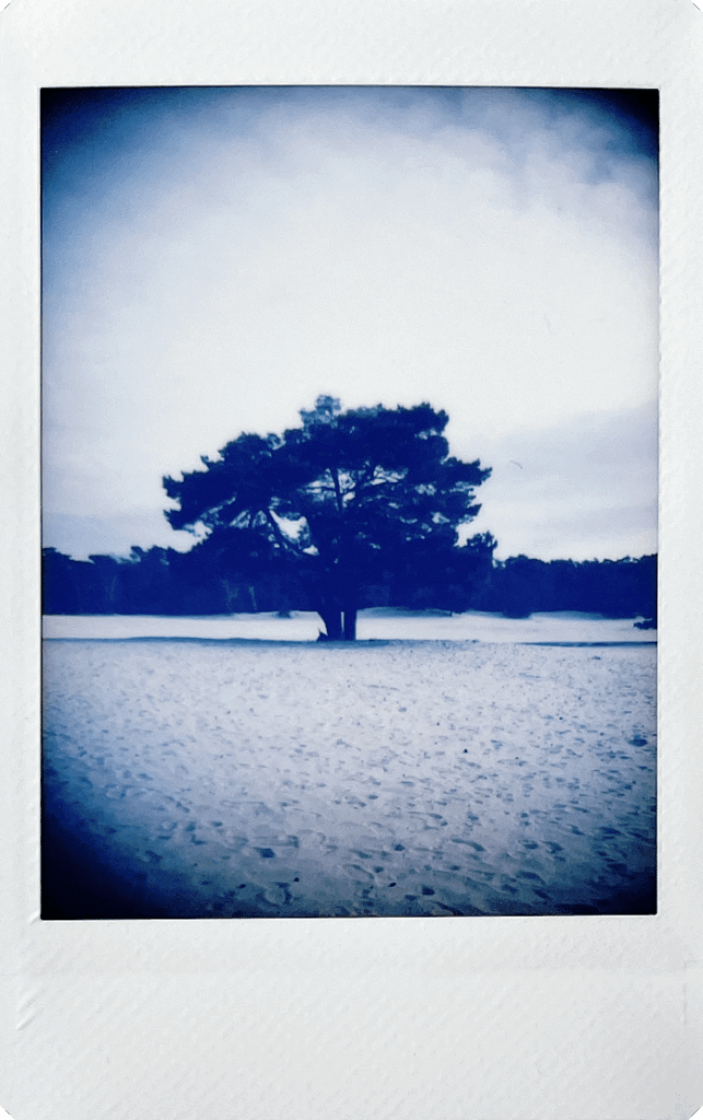 Fujifilm-INSTAX-mini-99-sample-8