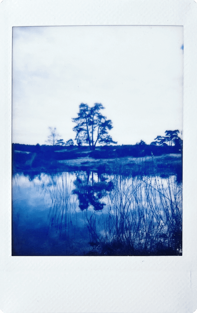 Fujifilm-INSTAX-mini-99-sample-9