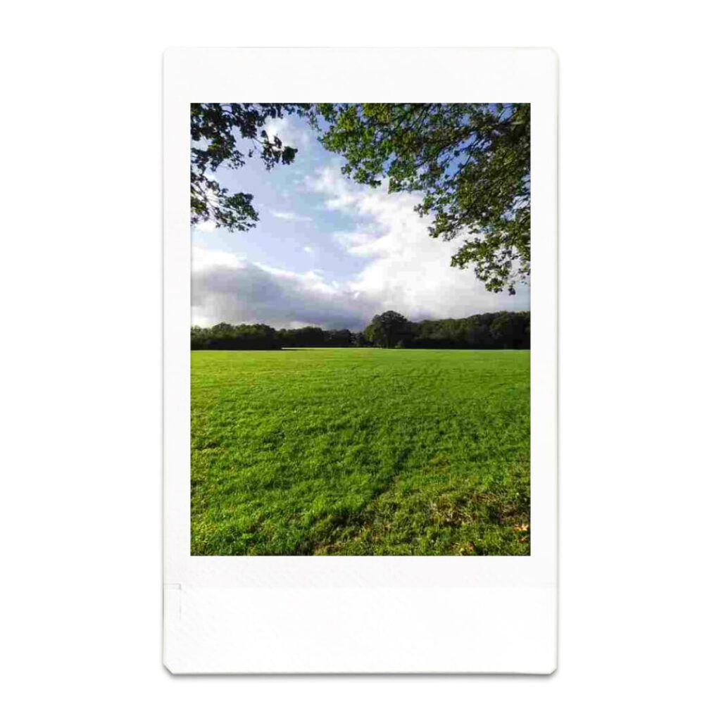 JPEG-image-49DC-ACD6-9D-0