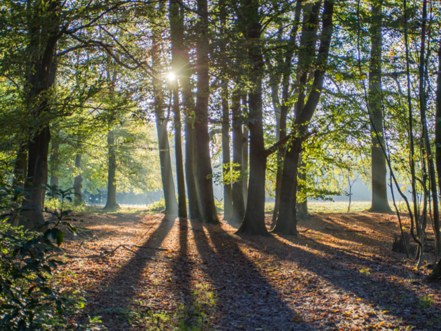 _SCH7791-HDR.jpg