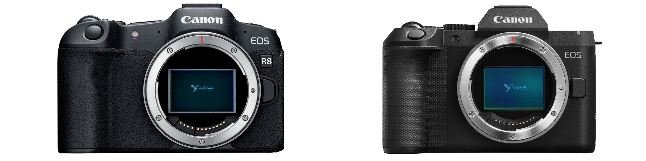 canon EOS R8 vs EOS R8 Mark II