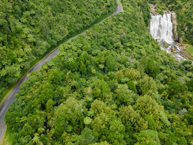 dji-mini-3-pro-review-tsf-9 dji-mini-3-pro-review-tsf-9