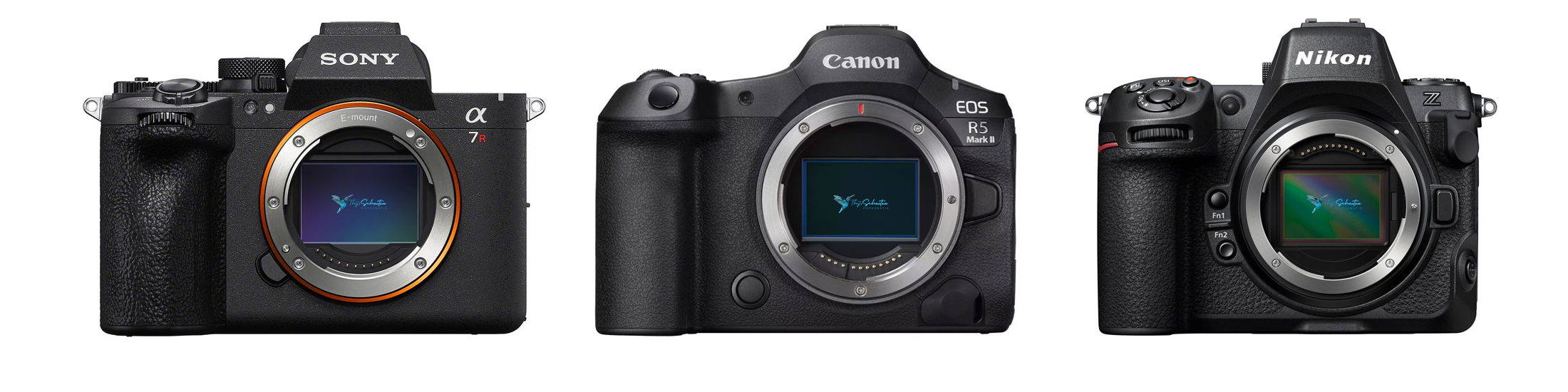De verschillen tussen de Sony A7R VI, de Canon EOS R5 mark II en de Nikon Z8