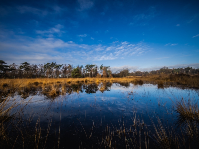 thijs-schouten-eos-r5-7 thijs-schouten-eos-r5-7