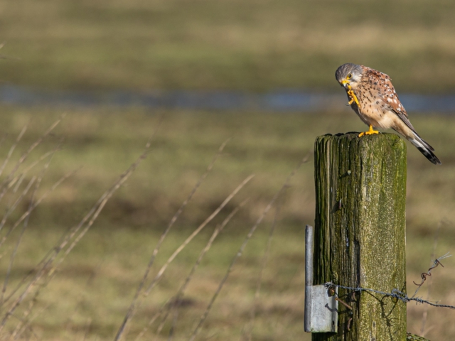 thijs-schouten-fotografie-28