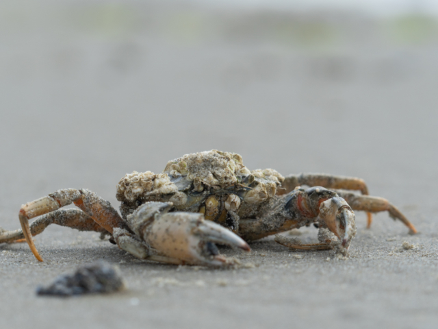 thijs-schouten-sony-a6400-5 thijs-schouten-sony-a6400-5