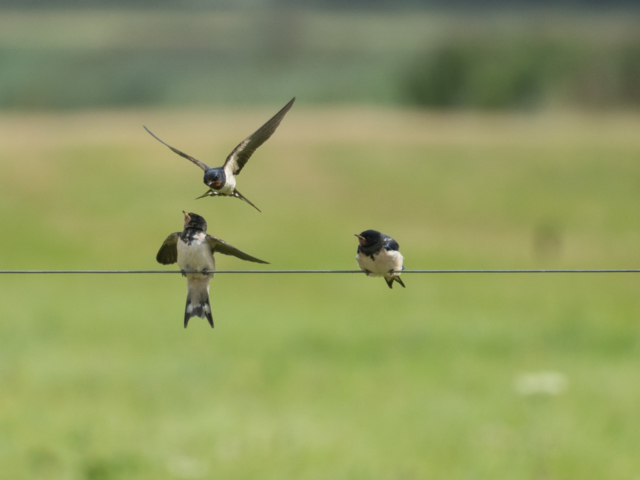 thijs-schouten-sony-a6400-9 thijs-schouten-sony-a6400-9