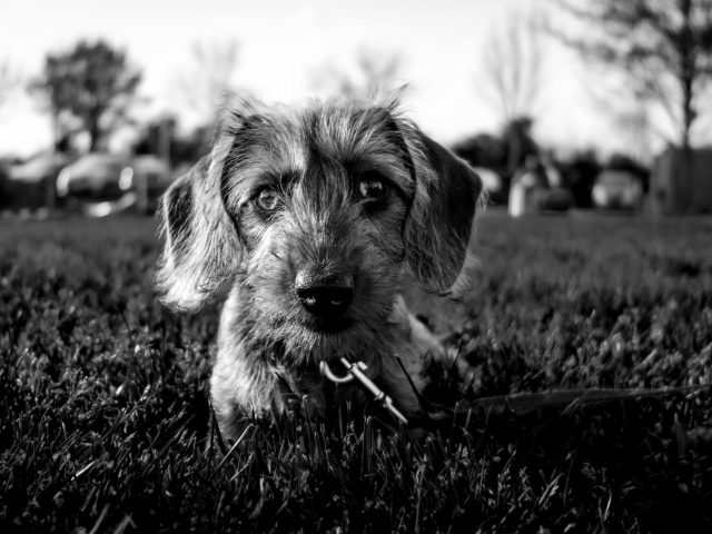tsf-canon-eos-r8-testfotos-18 tsf-canon-eos-r8-testfotos-18